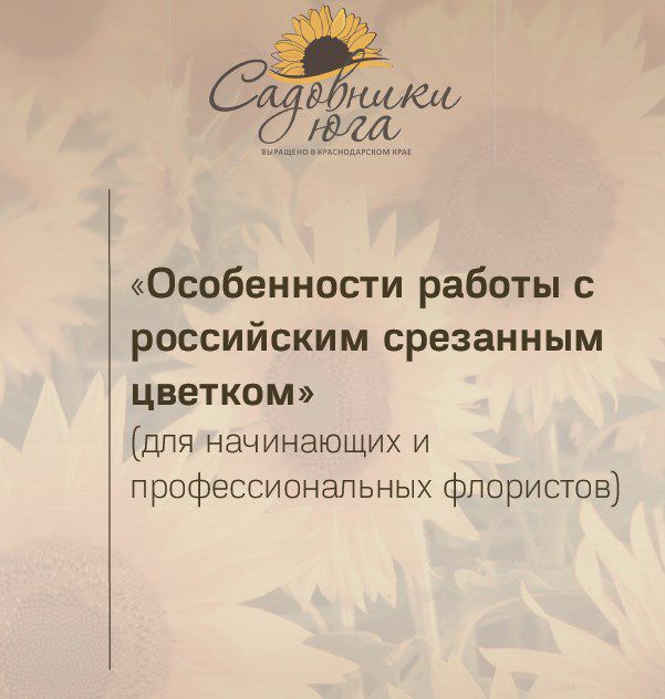 Гайд по работе с российским цветком для начинающих флористов