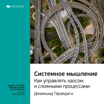 Системное мышление. Как управлять хаосом и сложными процессами. Джамшид ...