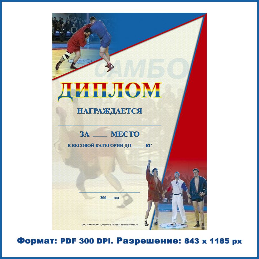 Диплом 1 (грамота) борьба самбо формата А4. Для награждения победителей и призёров соревнований.