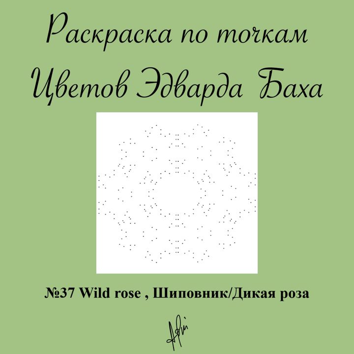 Раскраска по точкам №37 Wild rose , Шиповник/Дикая роза, Цветок Эдварда Баха, антистресс