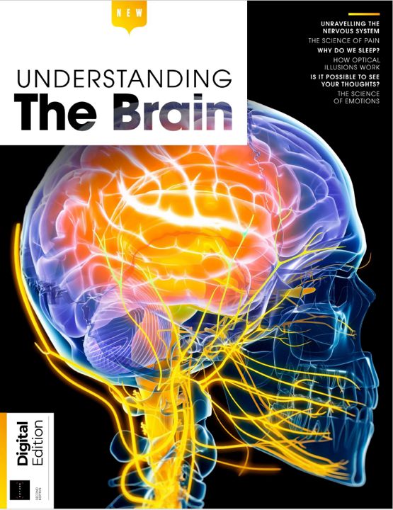 Understanding The Brain / Понимание мозга – 2-е издание, 2024 г. Мировой бестселлер