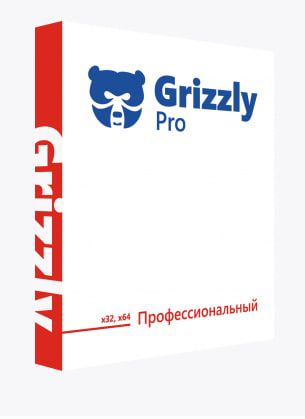 Ключ активации Grizzly Pro Профессиональный 1 год / 2 ПК