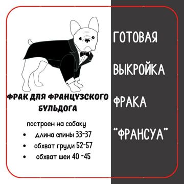 Пошив одежды для собак своими руками - Создаем красивые вещи домашним питомцам