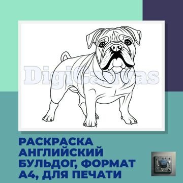 Раскраска английский бульдог для детей, формат А4, для печати ...