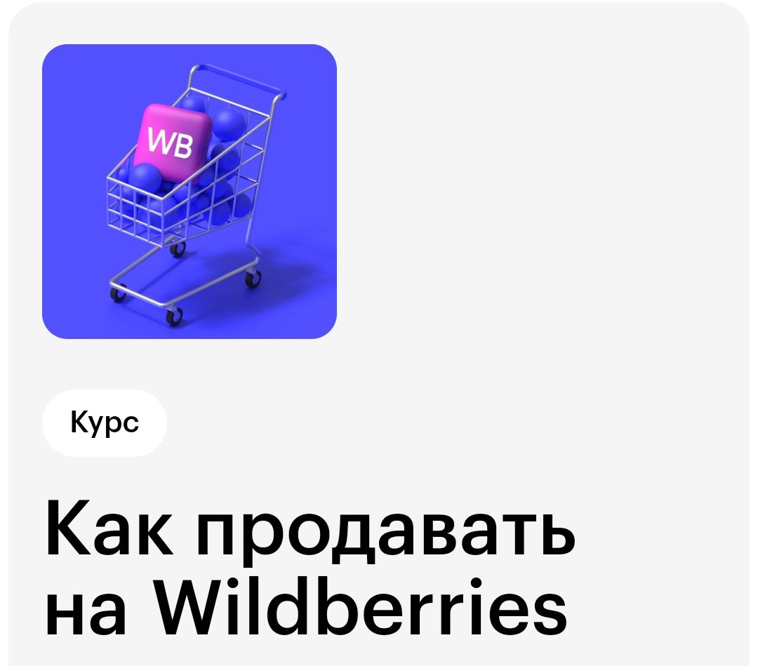 Рекламное продвижение на Wildberries - Skillbox - скачать на ...