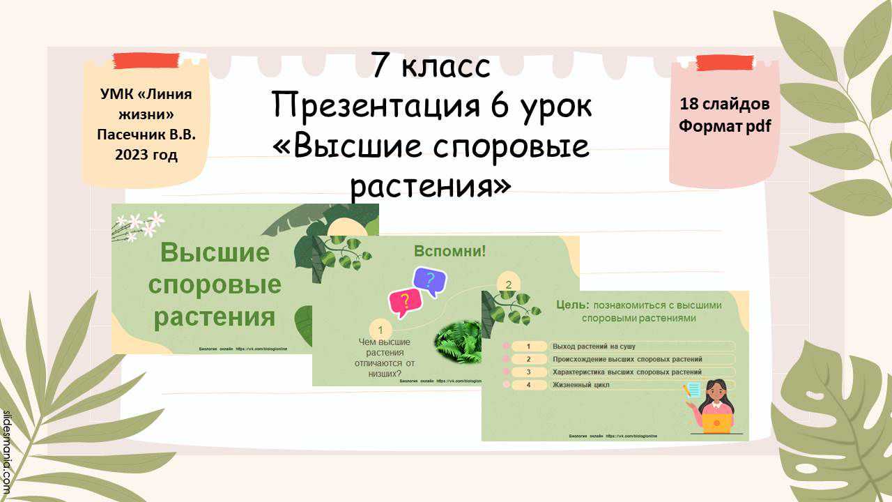 Презентация 6 урок 7 класс «Высшие споровые растения»