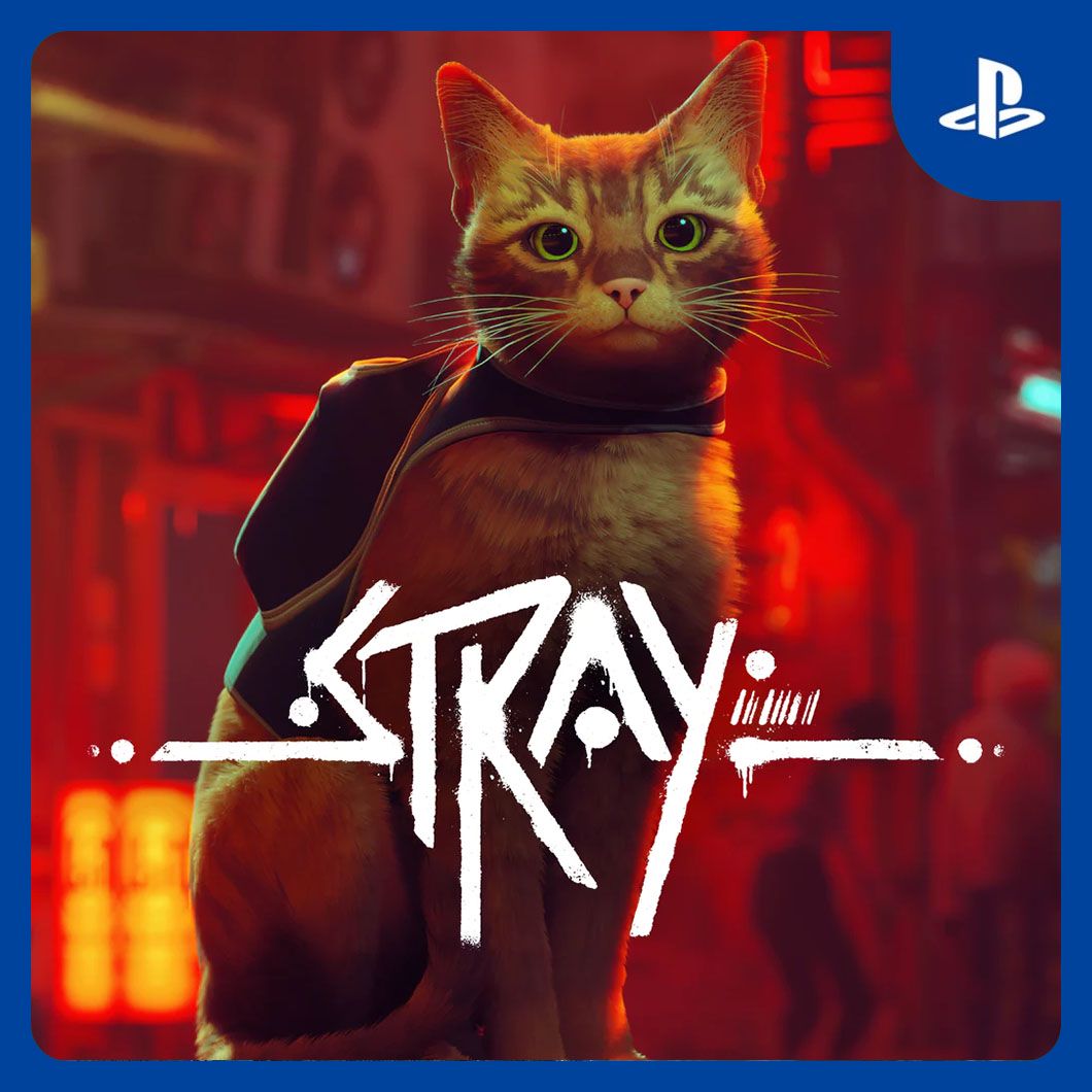 Stray | PS4 & PS5