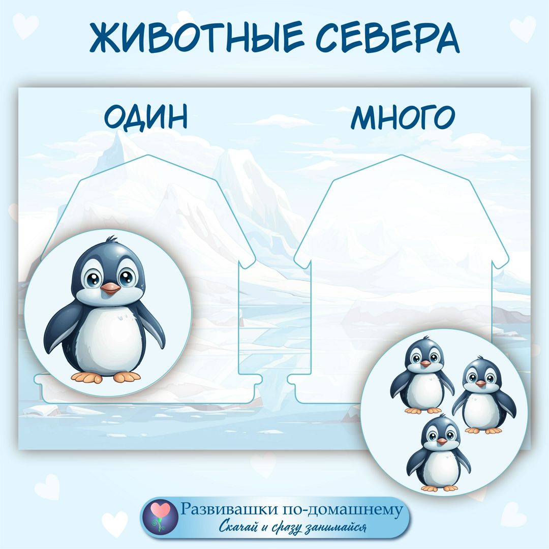 Животные севера. Один-много