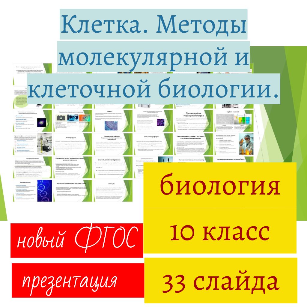 Клетка. Методы молекулярной и клеточной биологии. Биология, 10 класс. Презентация, 33 слайда.