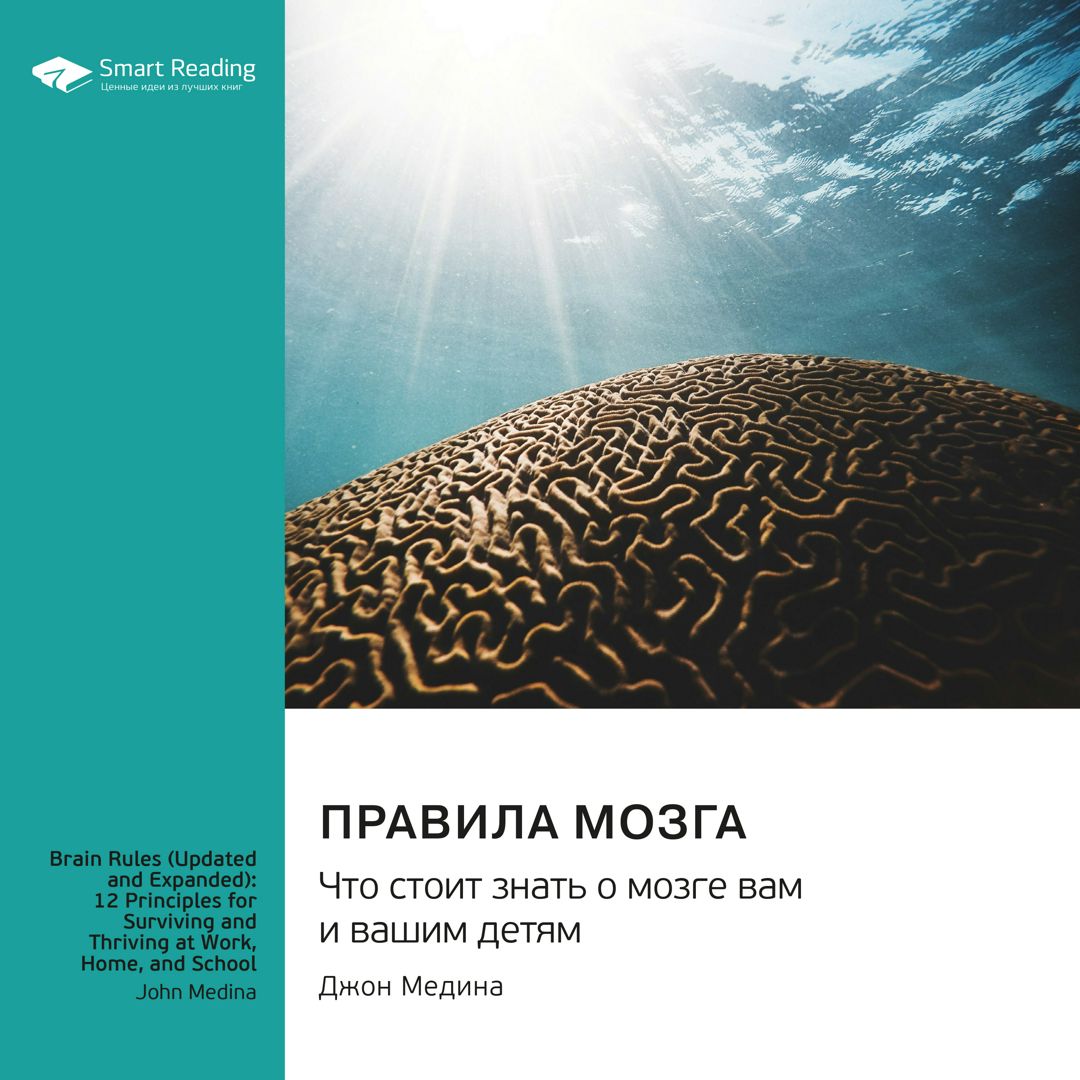 Правила мозга. Что стоит знать о мозге вам и вашим детям. Джон Медина. Саммари