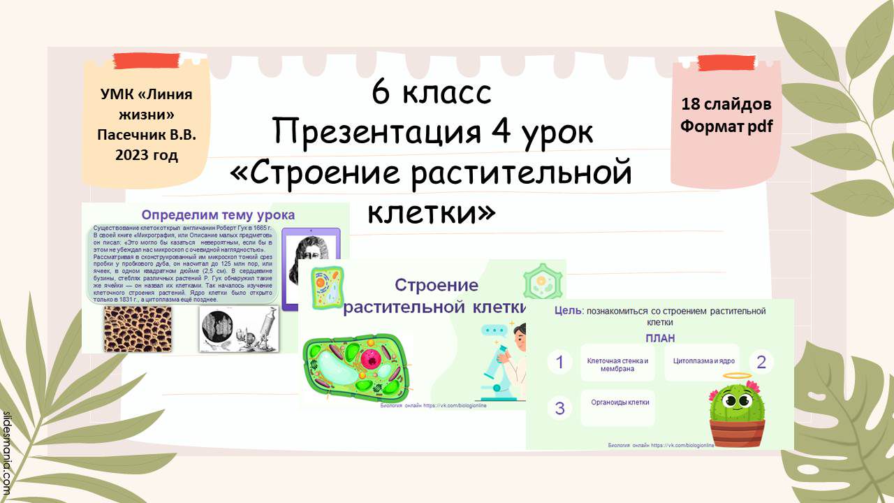 Презентация 4 урок 6 класс «Строение растительной клетки»