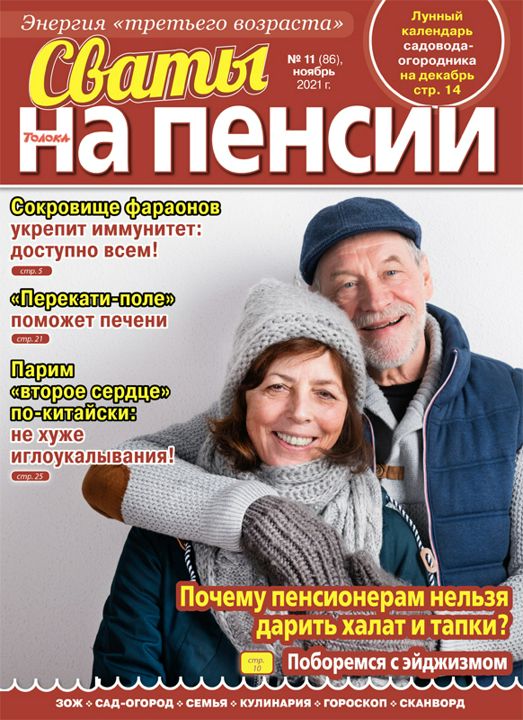 журнал Сваты на пенсии №11 2021