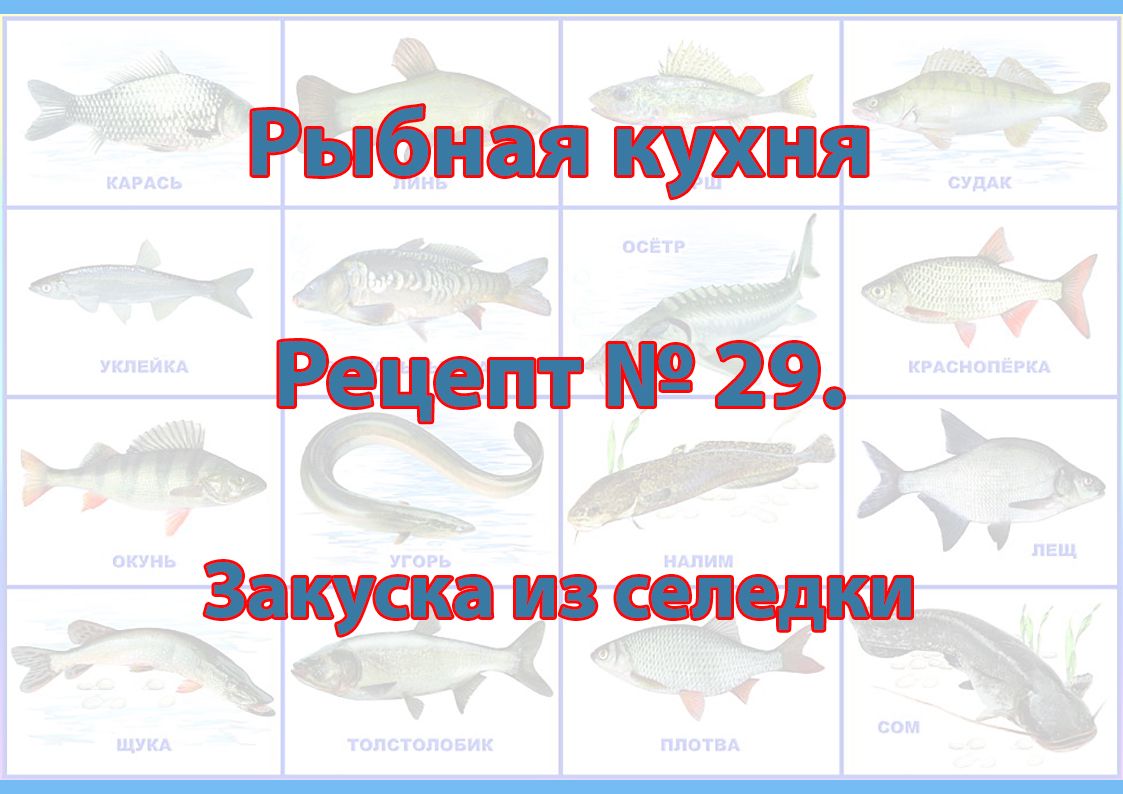 Рыбная кухня Рецепт № 29 Закуска из селедки