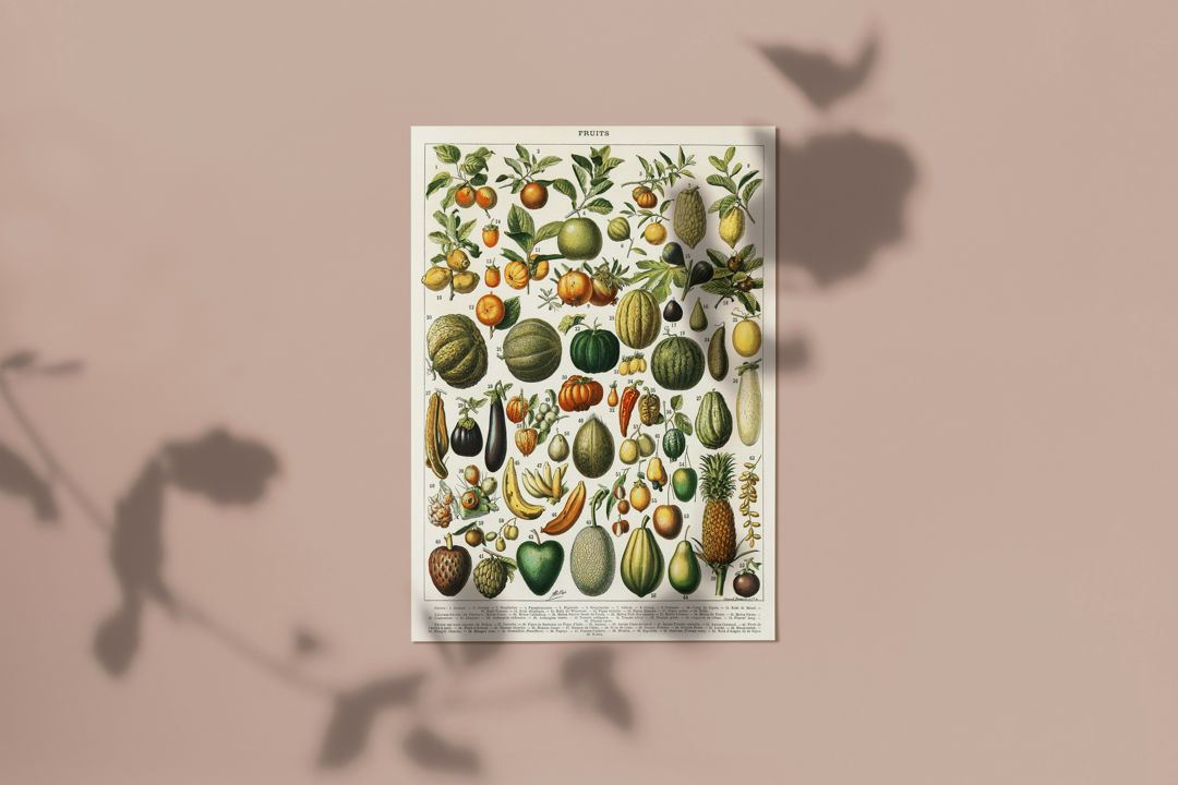 Принт ботаника для печати А4 декор, декупаж, панно, плакат