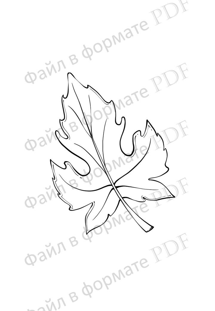 Leaf Tattoos