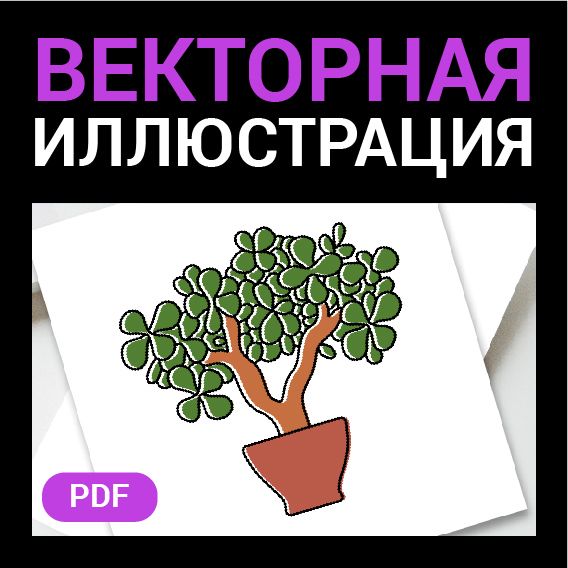 Комнатное растение Крассула, Толстянка в горшке. Денежное дерево в горшочке. Векторная картинка pdf