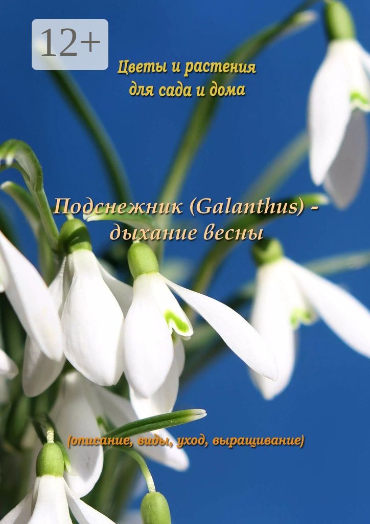 Подснежник (Galanthus) - дыхание весны