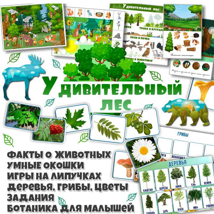 Творческие задания для детей на тему "Удивительный лес" / деревья, грибы, животные / 27 страниц
