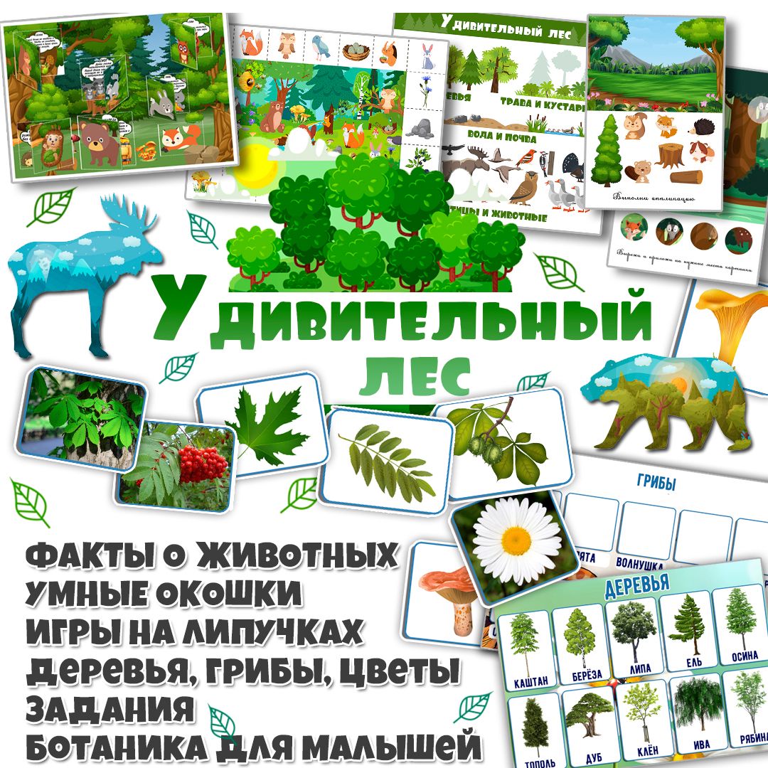 Творческие задания для детей на тему "Удивительный лес" / деревья, грибы, животные / 27 страниц