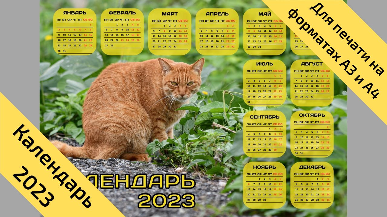 Денежный календарь 2023. Календарь на 2023 год с кроликом. Календарь 2023 с котом. Календарь на 2023 год с кроликом и котом. Календарь на 2023 год.