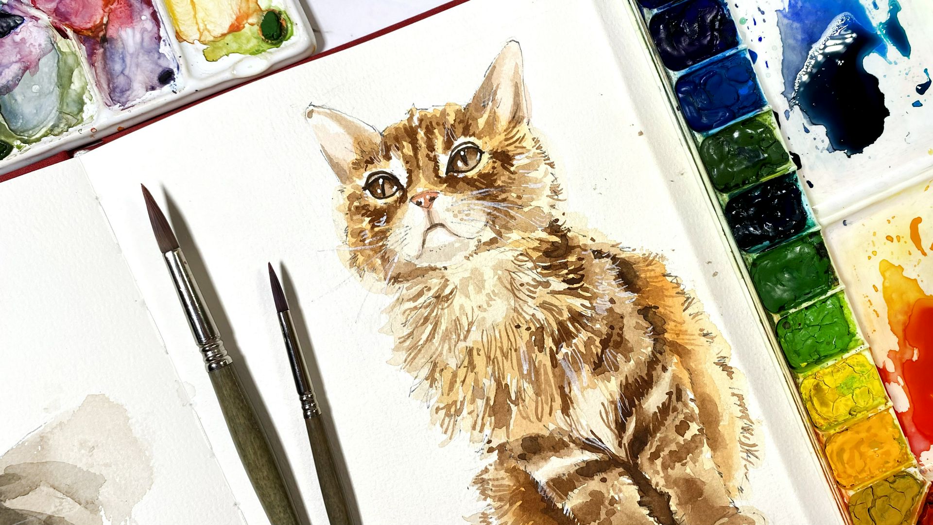 Мастер-класс: рисуем кошку "Рыжий Мейн-кун" (акварель)