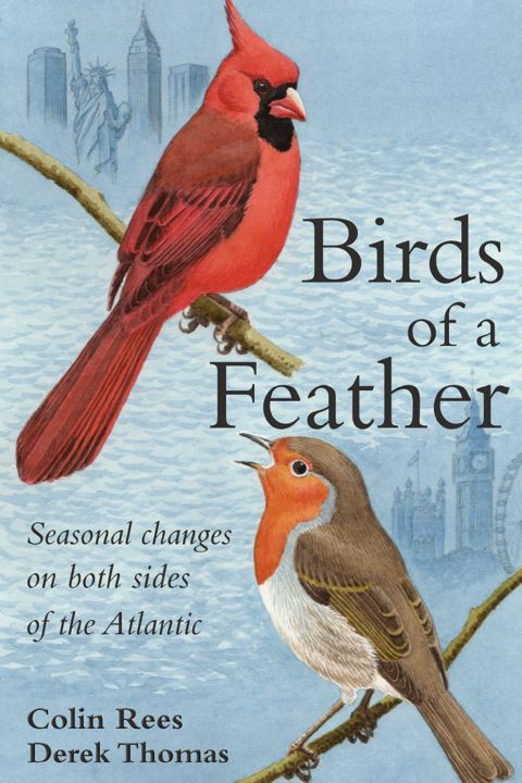 Birds of a Feather. Seasonal Change on Both Sides of the Atlantic