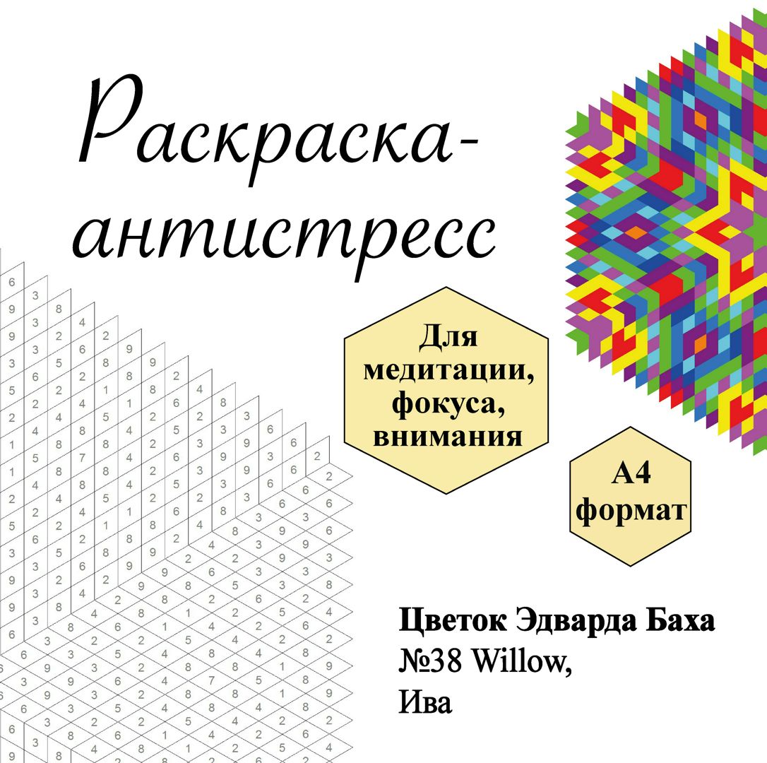 Раскраска № 38 Willow, Ива, Цветок Эдварда Баха, антистресс