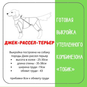 О компании Dogmoda