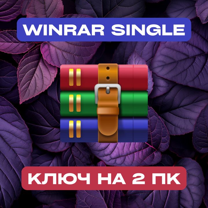 WinRAR Single на 2PC — ВинРАР Одиночный на 2ПК