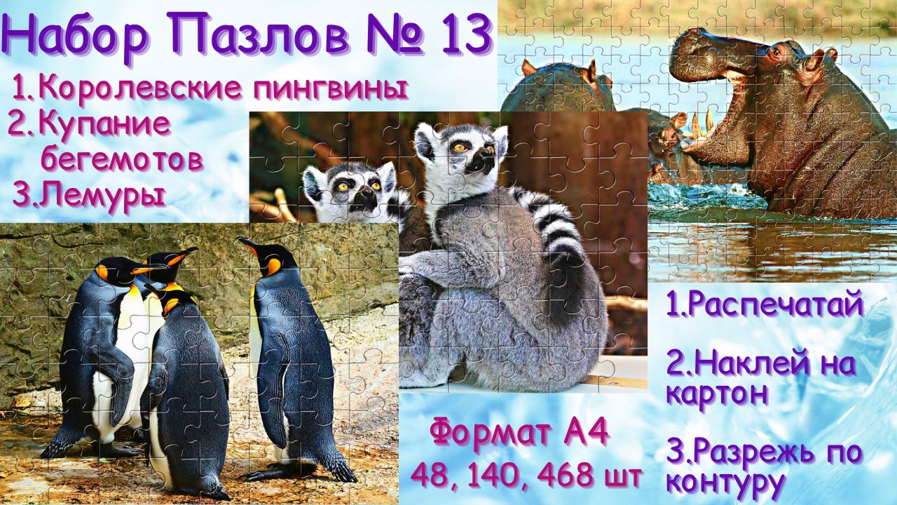 Набор пазлов № 13 (Королевские пингвины, Купание бегемотов, Лемуры))