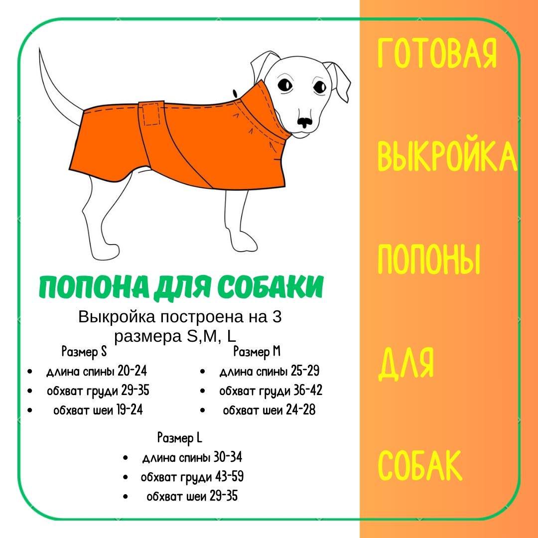 часовня-онлайн.рф | Выкройки для собак | Курс по построению | ВКонтакте