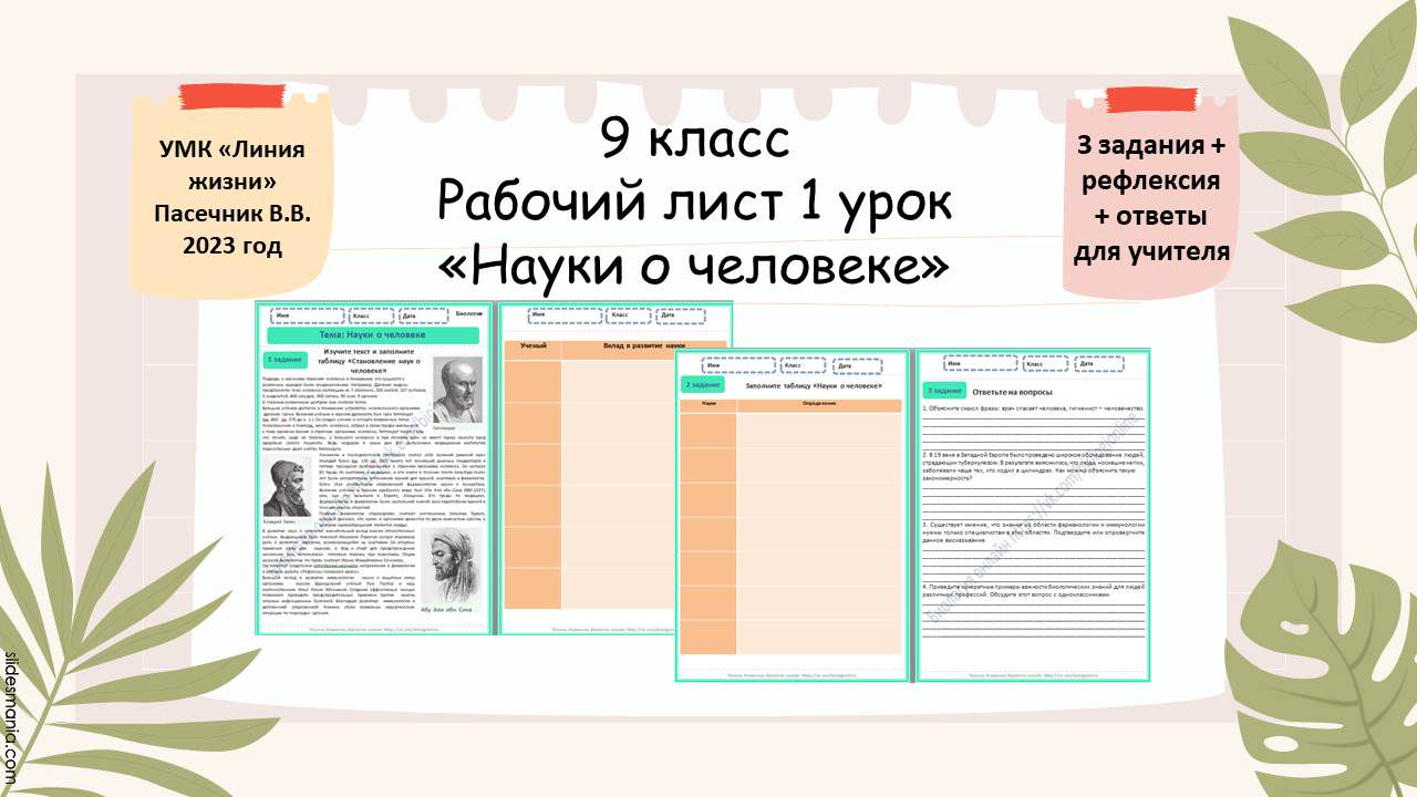 Рабочий лист 1 урок 9 класс «Науки о человеке»