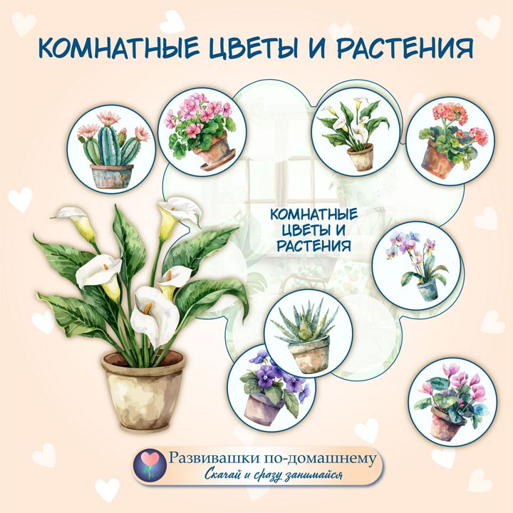 Комнатные цветы. Круг Луллия