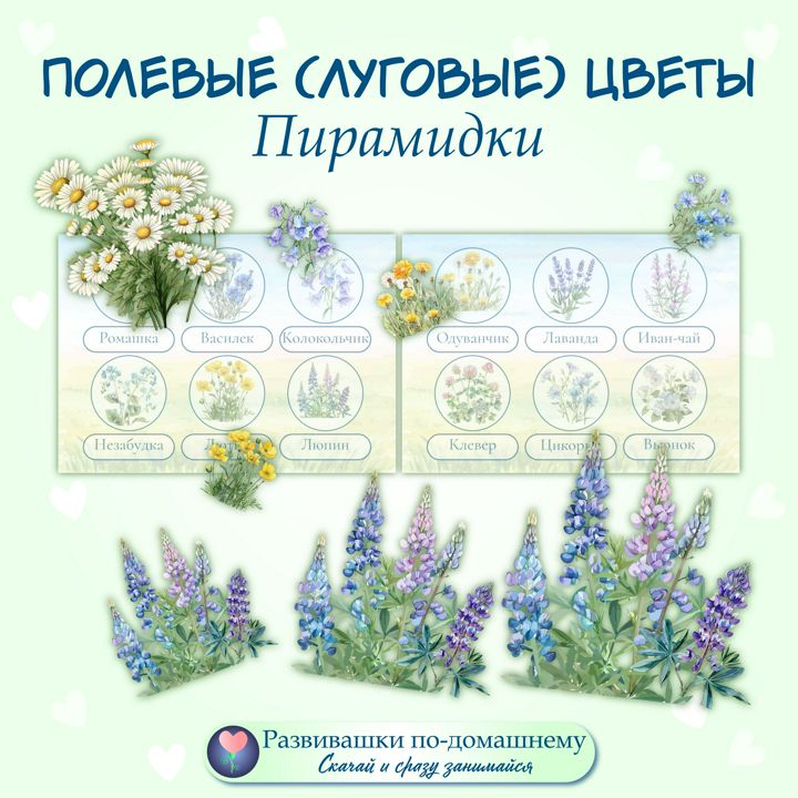 Полевые цветы. Пирамидки