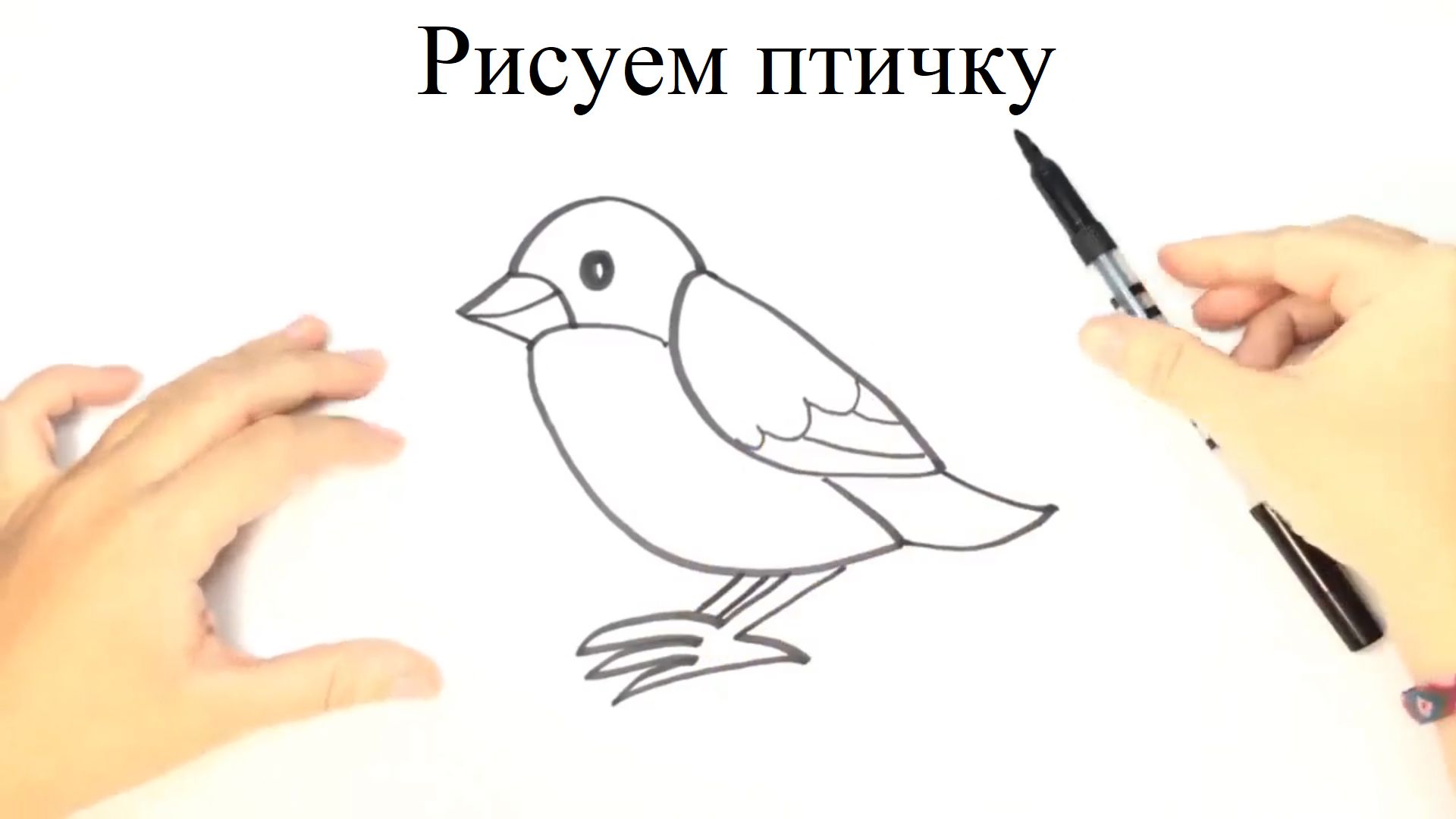 Рисуем птичку с детьми