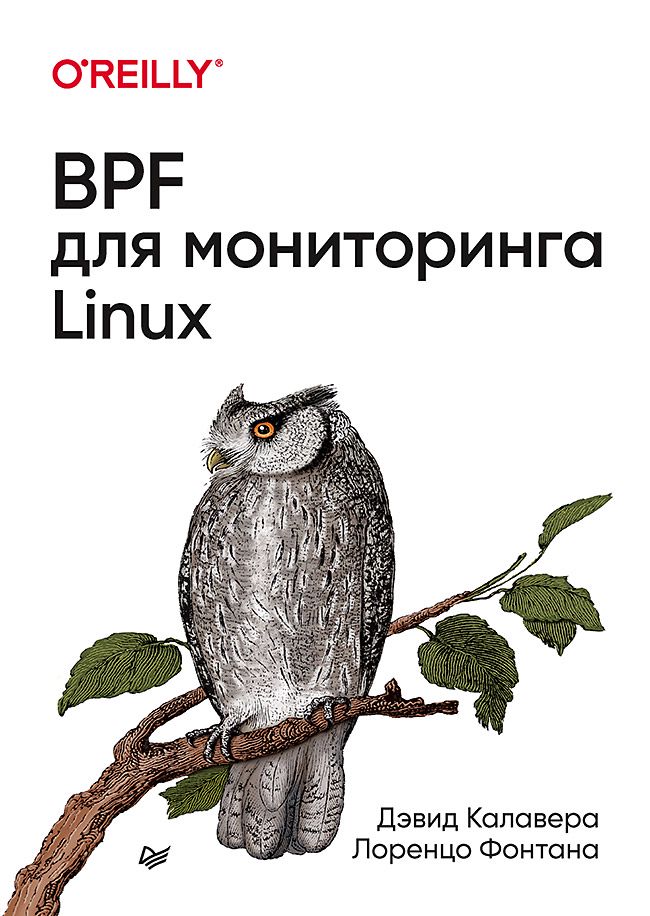 BPF для мониторинга Linux - Дэвид Калавера, Лоренцо Фонтана - купить и ...