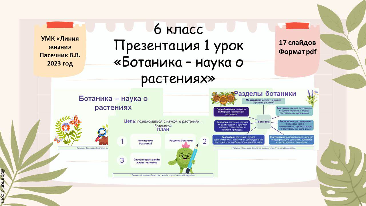 Презентация по биологии 1 урок 6 класс «Ботаника – наука о растениях»