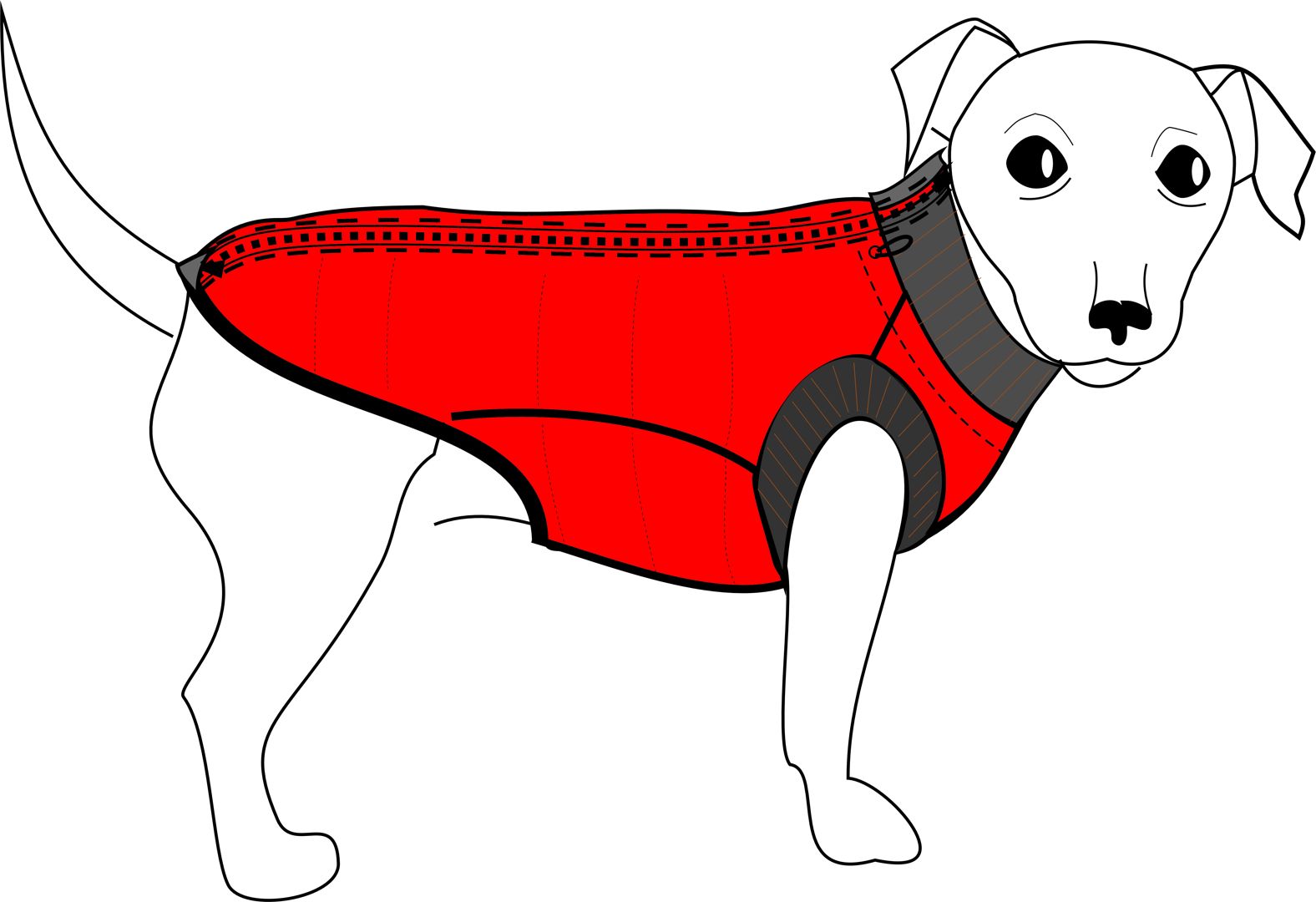 Выкройка жилетки для собаки размер S - dress for dogs - скачать на ...