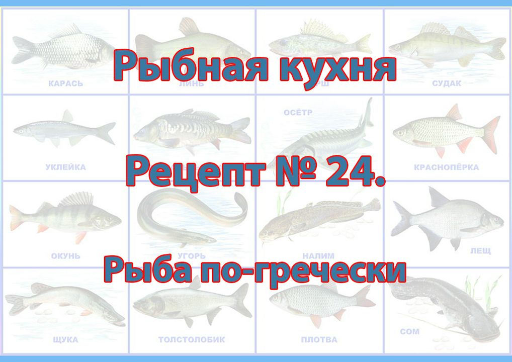 Рыбная кухня Рецепт № 24 Рыба по-гречески