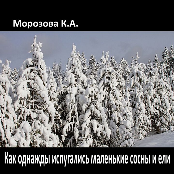 Морозова К.А. "Как однажды испугались маленькие сосны и ели"