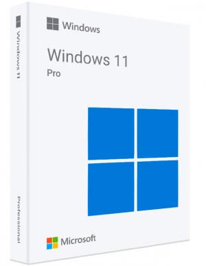 Windows 11 Pro