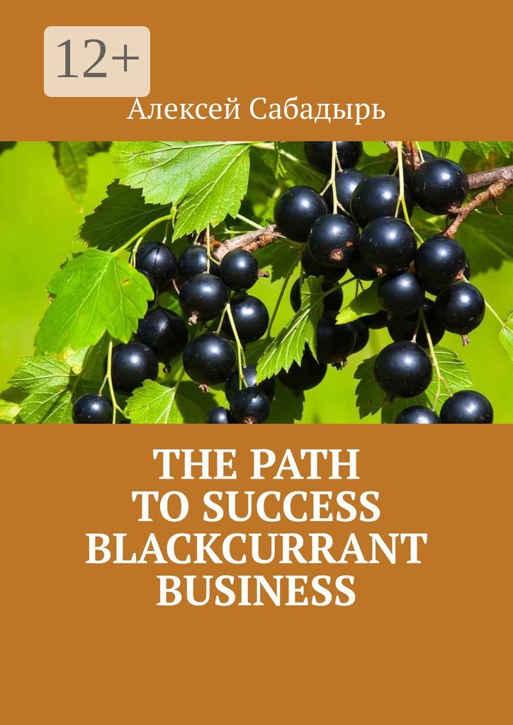 The path to success blackcurrant business
