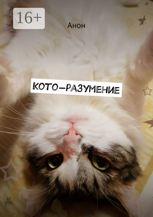 Кото-разумение