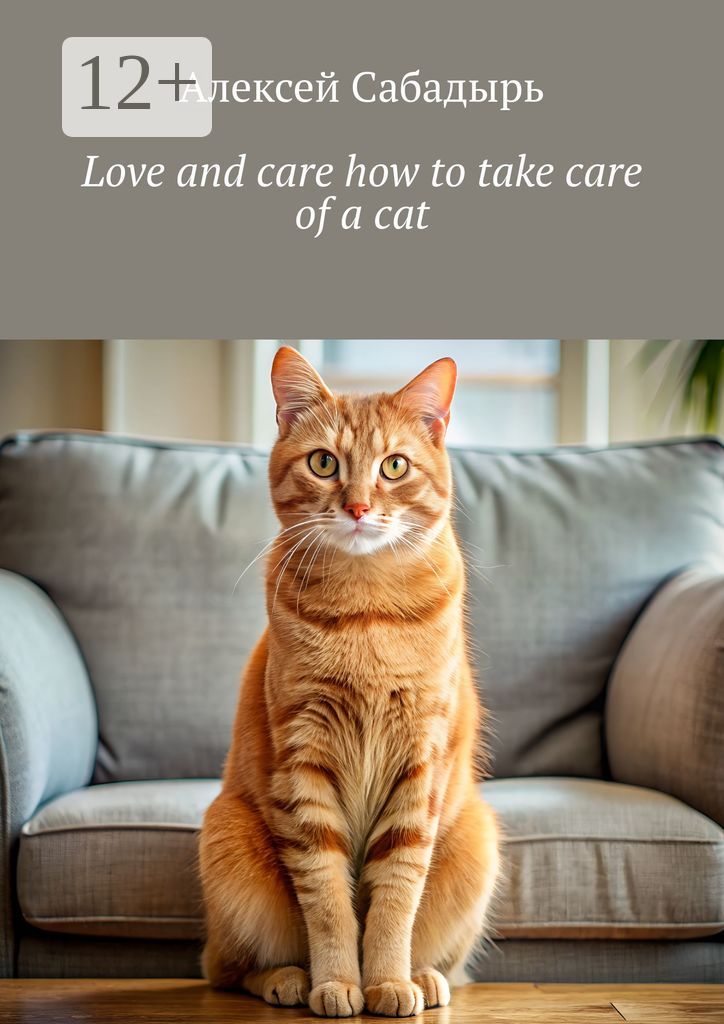 Love and care how to take care of a cat