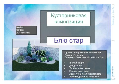 Проект кустарникового миксбордера - Минченко Ольга Николаевна - скачать ...