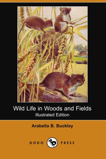Wild Life in Woods and Fields (Illustrated Edition) (Dodo Press)