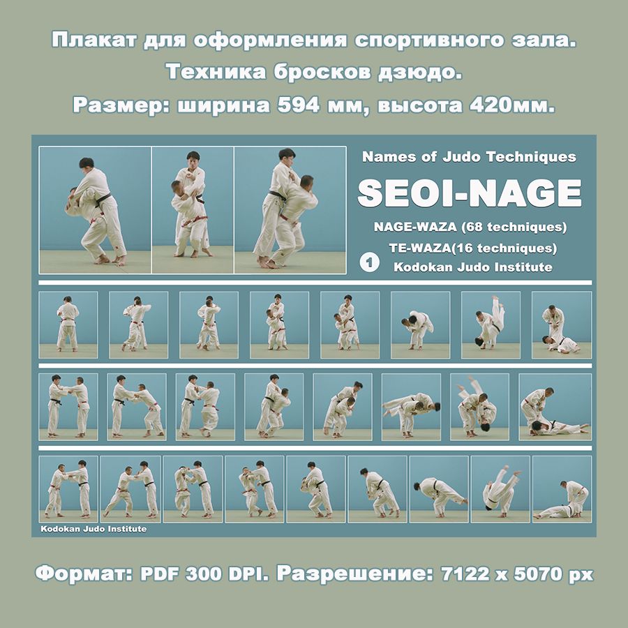 Плакат дзюдо формата А2. Бросок через спину SEOI-NAGE.