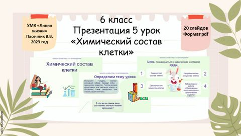 Презентация 5 урок 6 класс «Химический состав клетки» - Татьяна ...