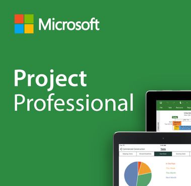 Microsoft Project 2019 Professional for Windows 1ПК