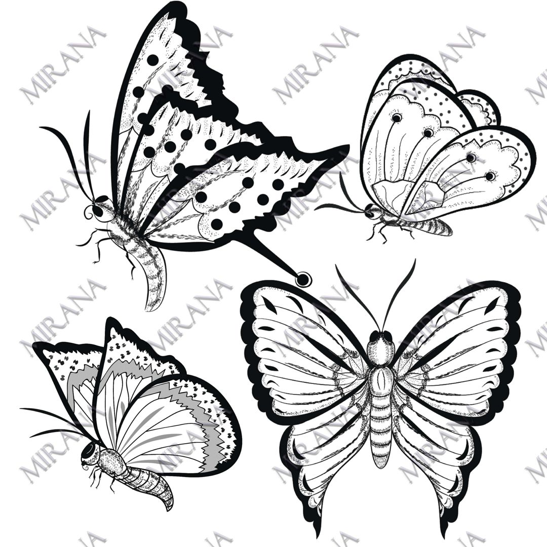 Раскраски «Бабочки»